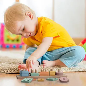 Geometric Figure Shape Sorter And Color Stacker Preschool Kids Wood Gifts